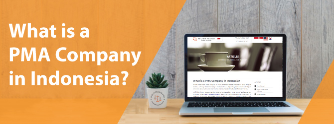 What is a PMA Company in Indonesia?