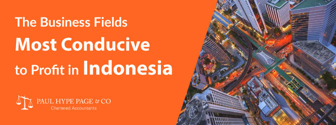 The Business Fields Most Conducive to Profit in Indonesia