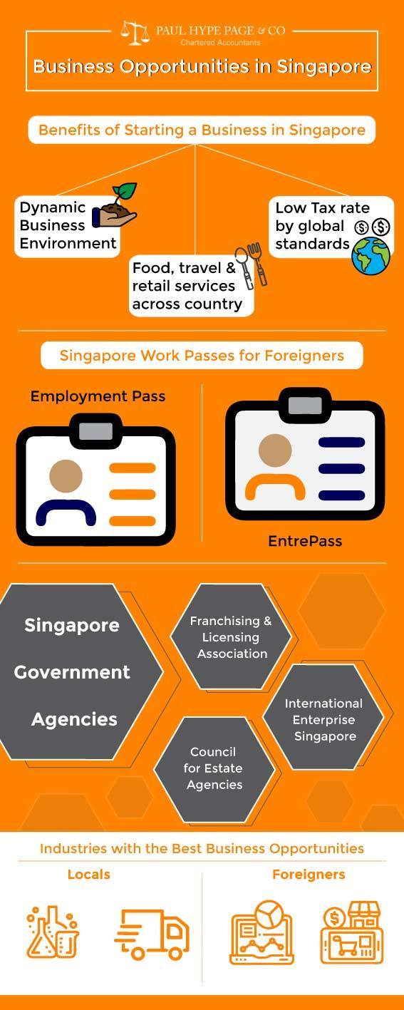 Business Opportunities in Singapore Singapore Business Opportunities