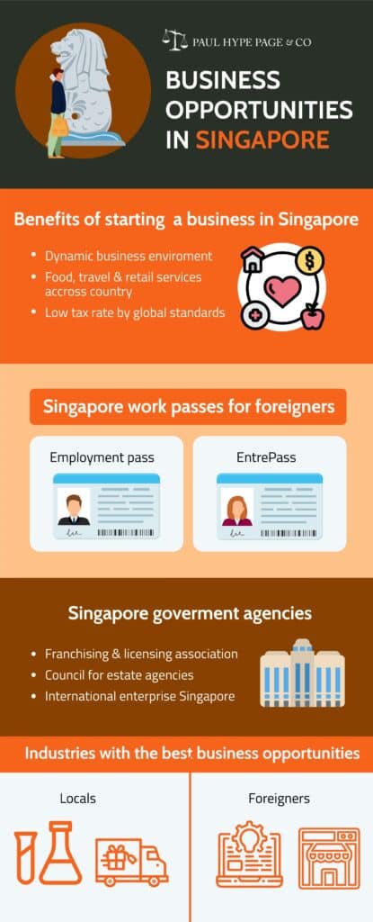 Singapore Business Opportunities Guide Singapore Business Opportunities