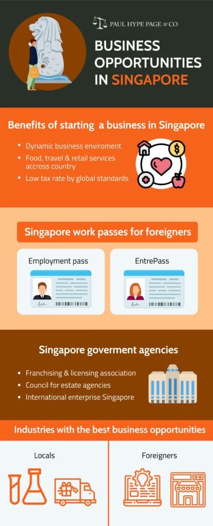 Singapore Business Opportunities