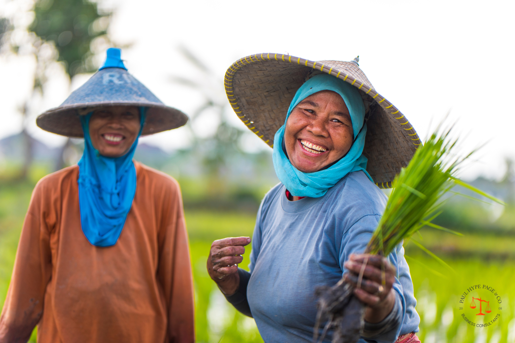 Understanding RPTKA in Indonesia: How to Hire Foreign Talent